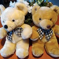 Coppia di teneri orsetti di peluche