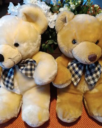 Coppia di teneri orsetti di peluche