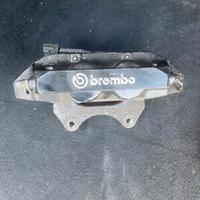 Staffe pinza brembo 4 pompanti