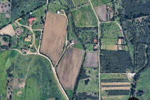 Terreni agricoli