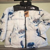 THE NORTH FACE FW22 Logo Winter Jacket 'Multicolor