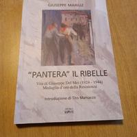 Pantera il ribelle
