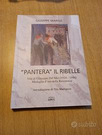Pantera il ribelle