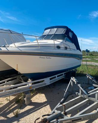 MONTEREY 256 – VOLVO PENTA 5.7 GSL – € 24.900
