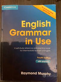 English grammar in use