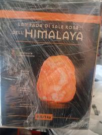 Lampade di sale rosa Himalaya da 1 kg USB blocco 