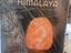 Immagine 1