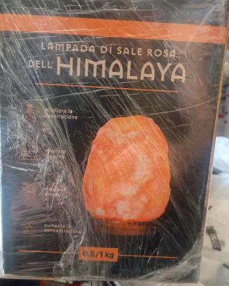 Lampade di sale rosa Himalaya da 1 kg USB blocco 