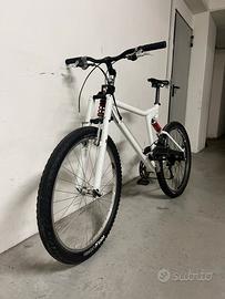 boci biammortizzata carbonio alluminio