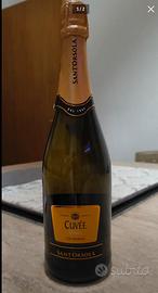 Bottiglie vino spumante