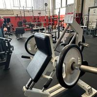 CALF RAISES / POLPACCI / INCLINATA più altre