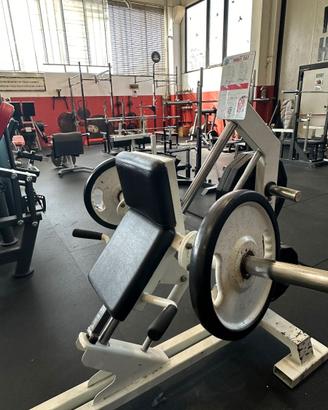 CALF RAISES / POLPACCI / INCLINATA più altre