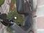 Immagine 3
