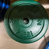 Pesi in ghisa con manubri