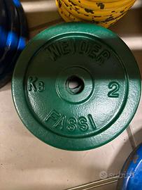 Pesi in ghisa con manubri