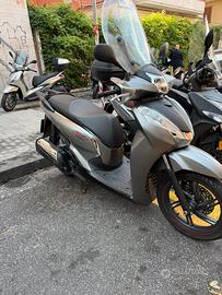 Sh 300 sport