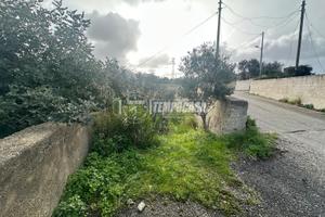 Terreno agricolo a pochi passi dal mare