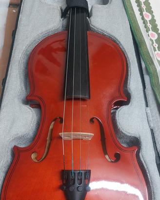 violino 