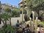 Immagine 19