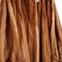 Majestic mink visone canadese originale
