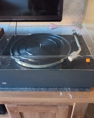 braun  ps 500