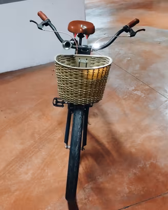 Bicicletta 