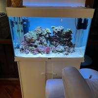 Acquario Ciano con mobile e rocce vive