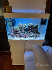 Acquario Ciano con mobile e rocce vive