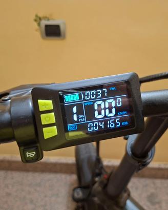 Bici elettrica 250W 36 volt