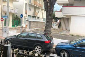 Appartamento da settembre a maggio