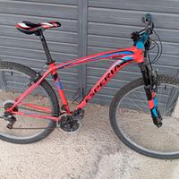 MTB 29 " ESPERIA MAINE Tg48