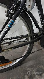 bicicletta  ragazzo 