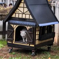 costruisco casette x animali in stile alsazia