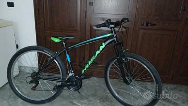 bicicletta hogan