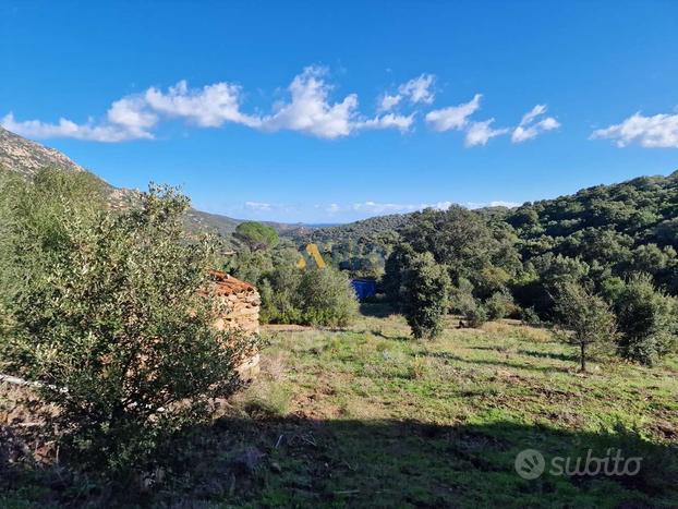 TERRENI AGRICOLI IN CASAGLIANA