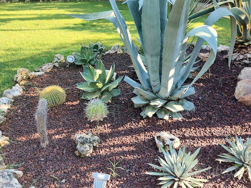 Lapillo Vulcanico Verde FORTUNATO - Per Pacciamatura E Drenaggio Giardino, 33 Litri