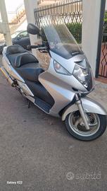 Silver Wing 