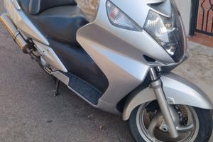 Silver Wing 