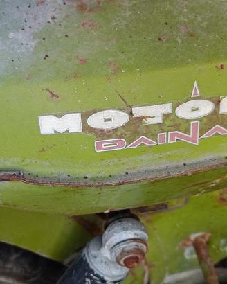 Ciclomotore Motom daina
