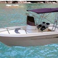 Barca open più motore jhonson