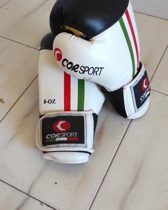 guantoni da boxe/ arti marziali seminuovi 