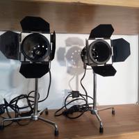 Lampade (2) da scrittoio Hollywood vintage