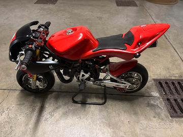 Minimoto DM
