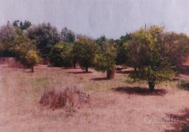 Vendita terreno edificabile