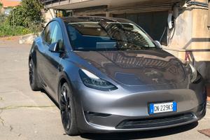Tesla model Y performance