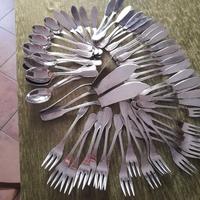 Servizio posate da pesce