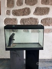 Acquario