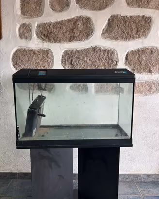 Acquario