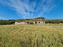 rudere-in-campagna