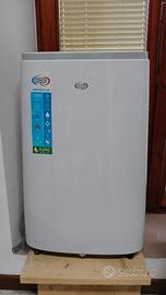 Climatizzatore portatile